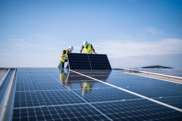 Best Roof Maintenance and Cleaning  in Minden, NV