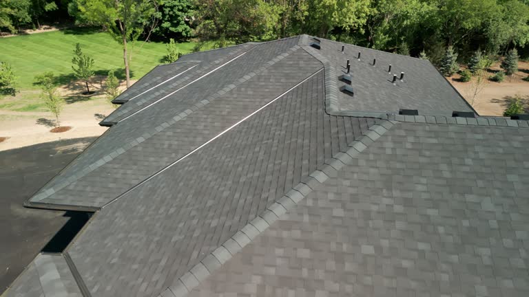 Best Commercial Roofing Services  in Minden, NV