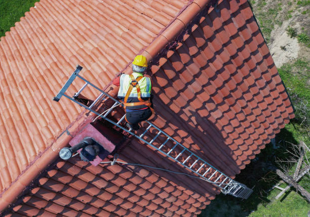 Best Roof Insulation Installation  in Minden, NV