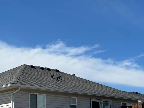 Cold Roofs in Minden, NV